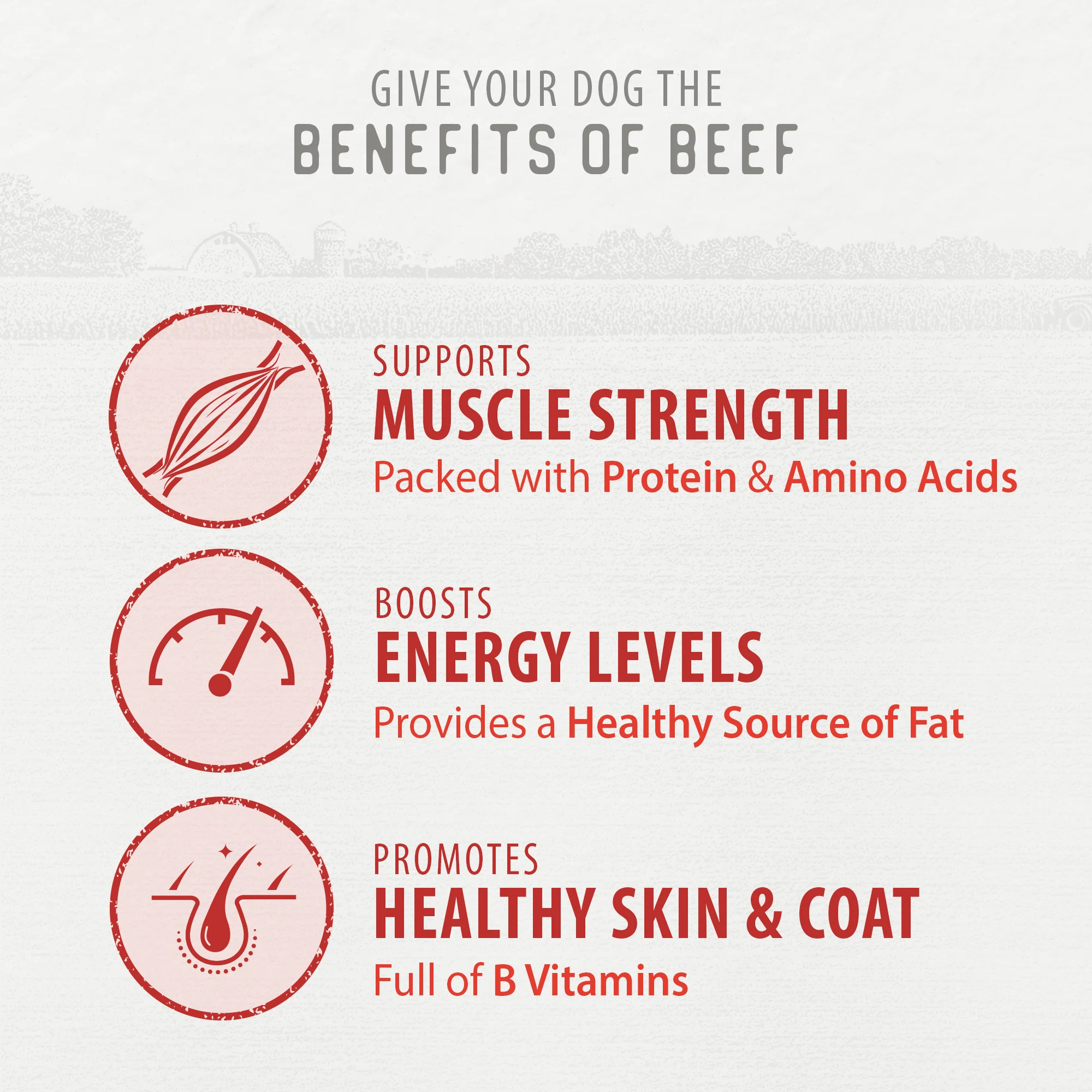 Classic Jerky - Beef Recipe - Image 5