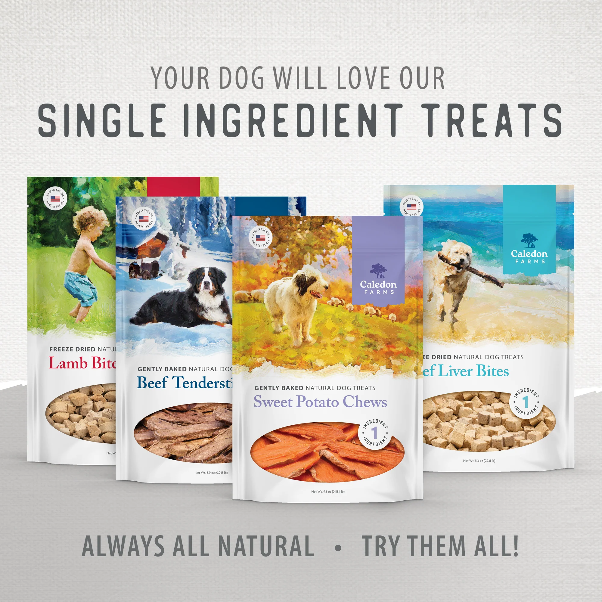 Sweet Potato Chews - Image 11