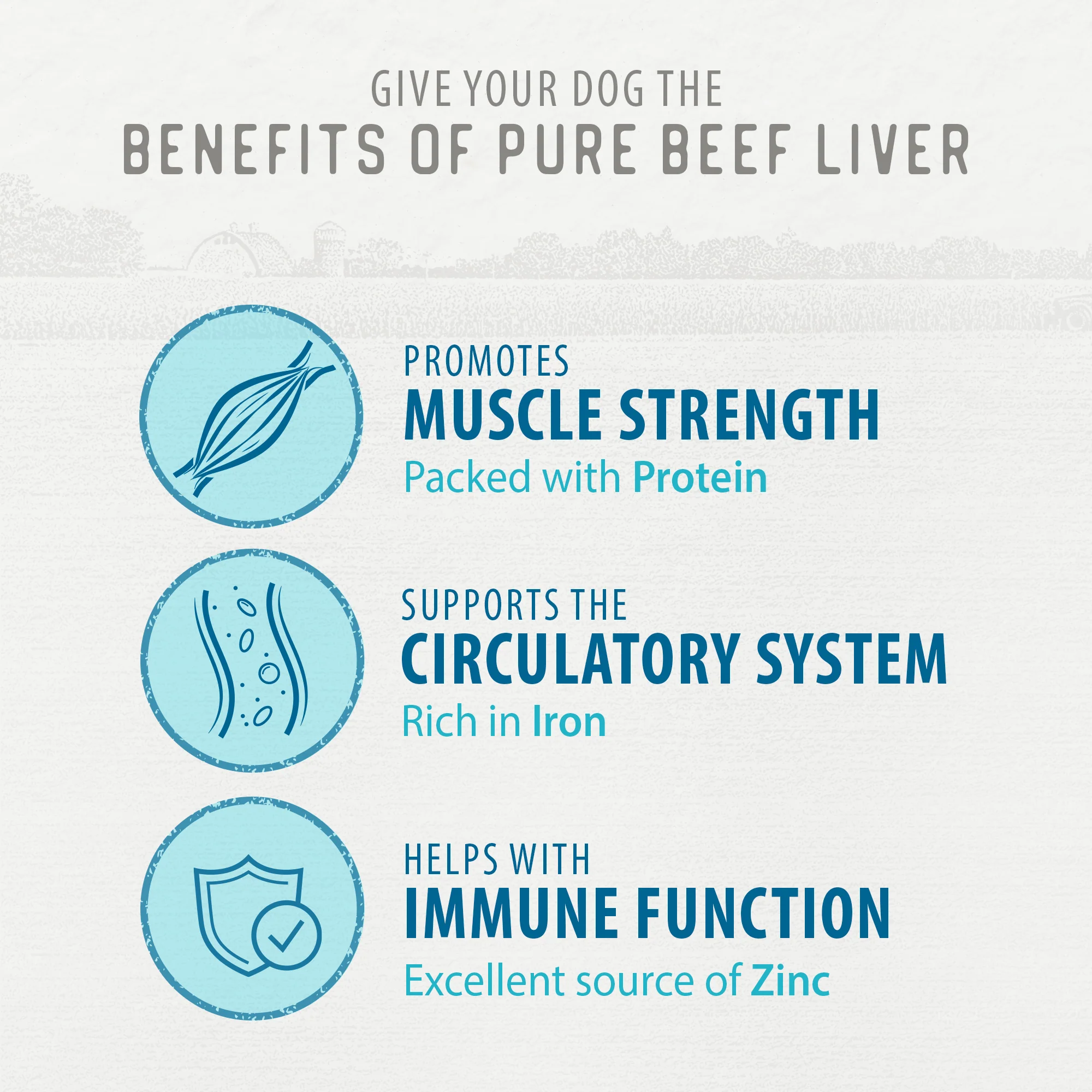 Freeze Dried Beef Liver Bites - Image 5