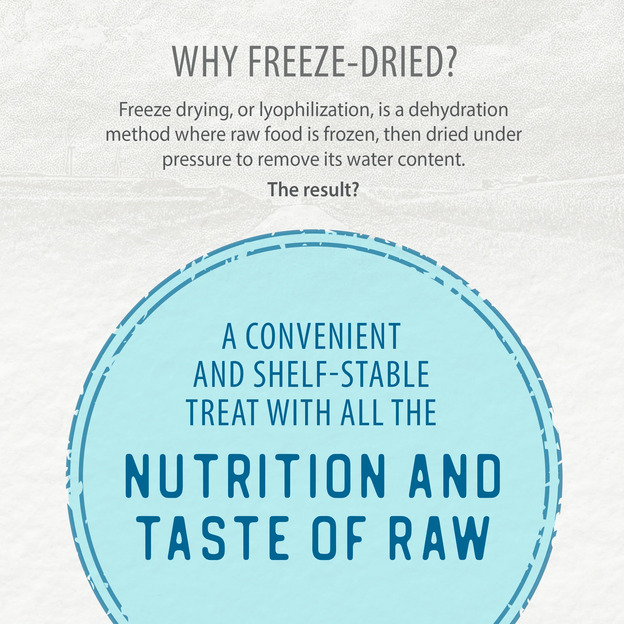 Freeze Dried Beef Liver Bites - Image 6