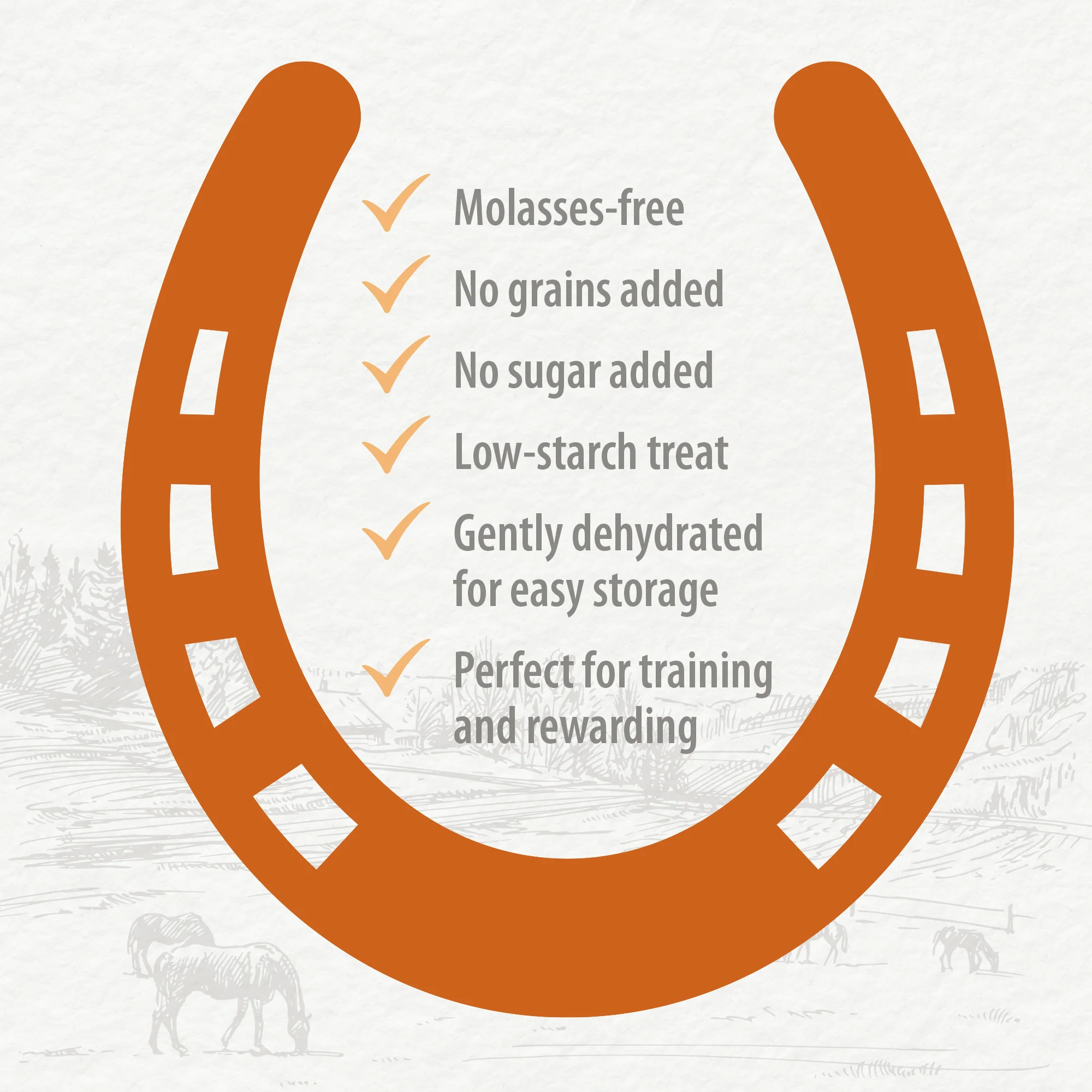 Carrot Slices Horse Treats - Image 5