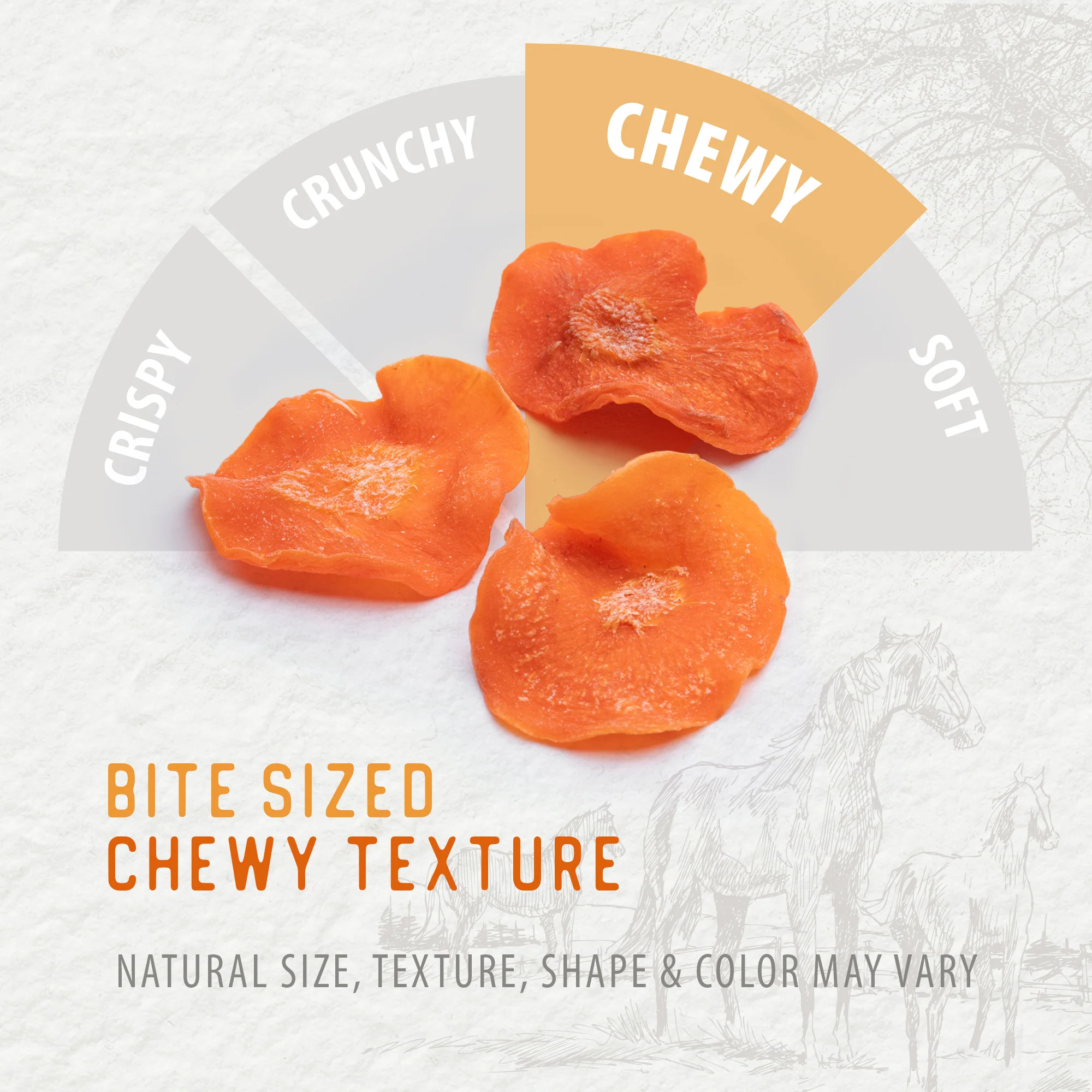 Carrot Slices Horse Treats - Image 6