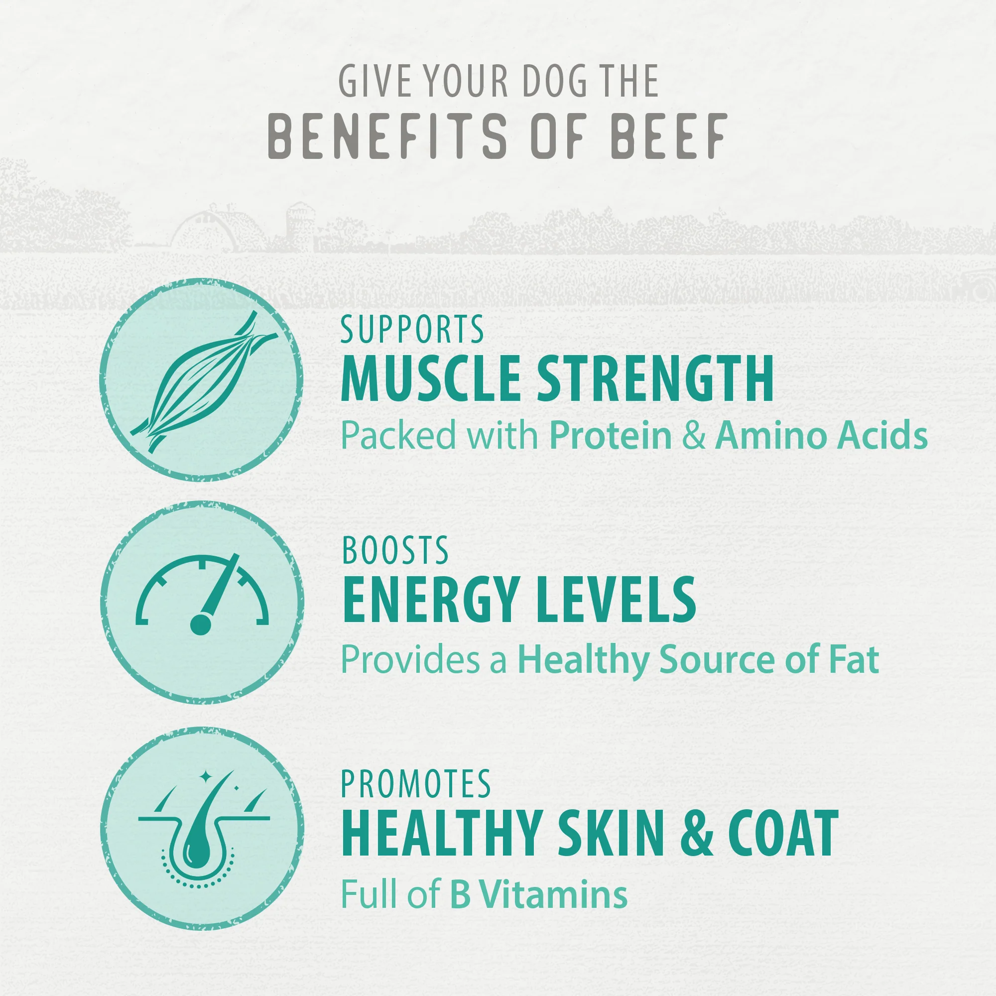 Chewy Beef Sticks - Image 7