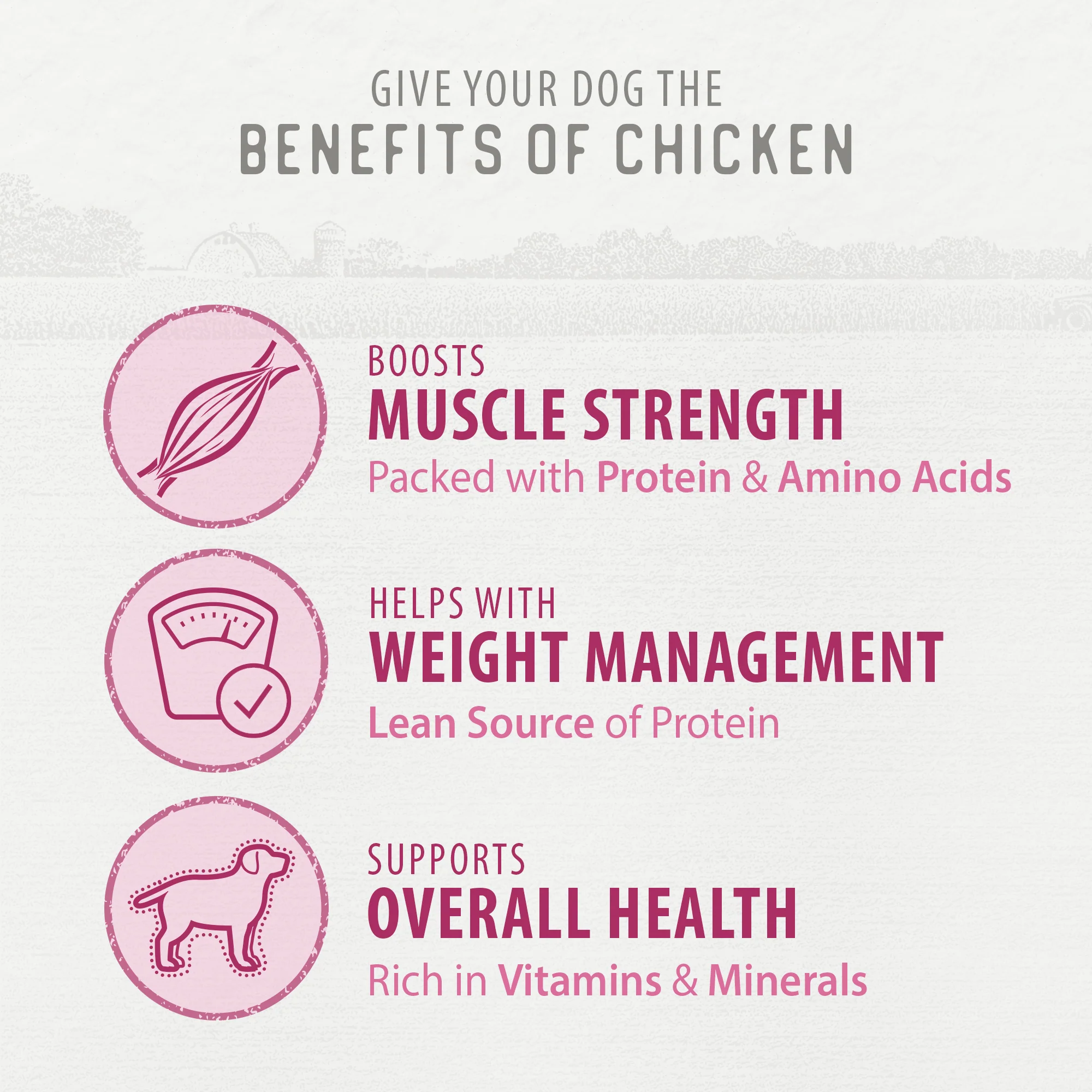 Chewy Chicken Sticks™ - Image 6