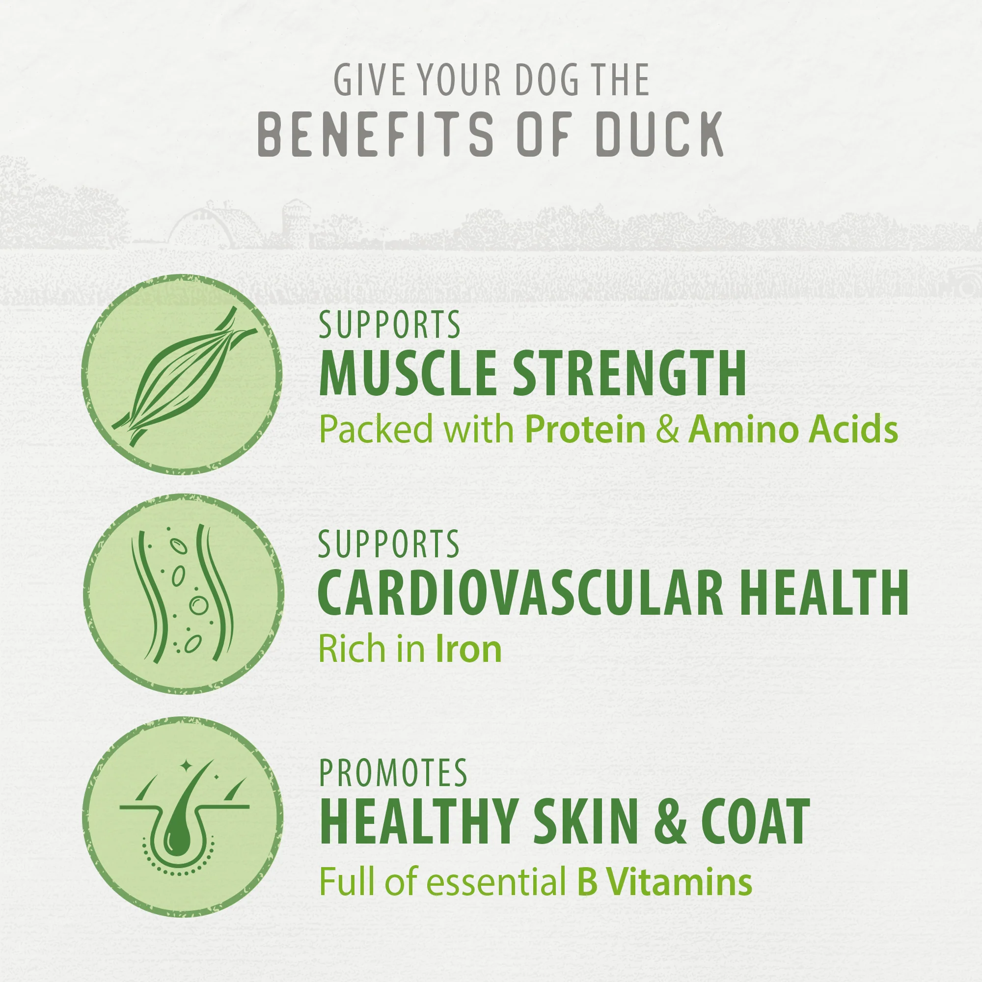 Chewy Duck Sticks - Image 5