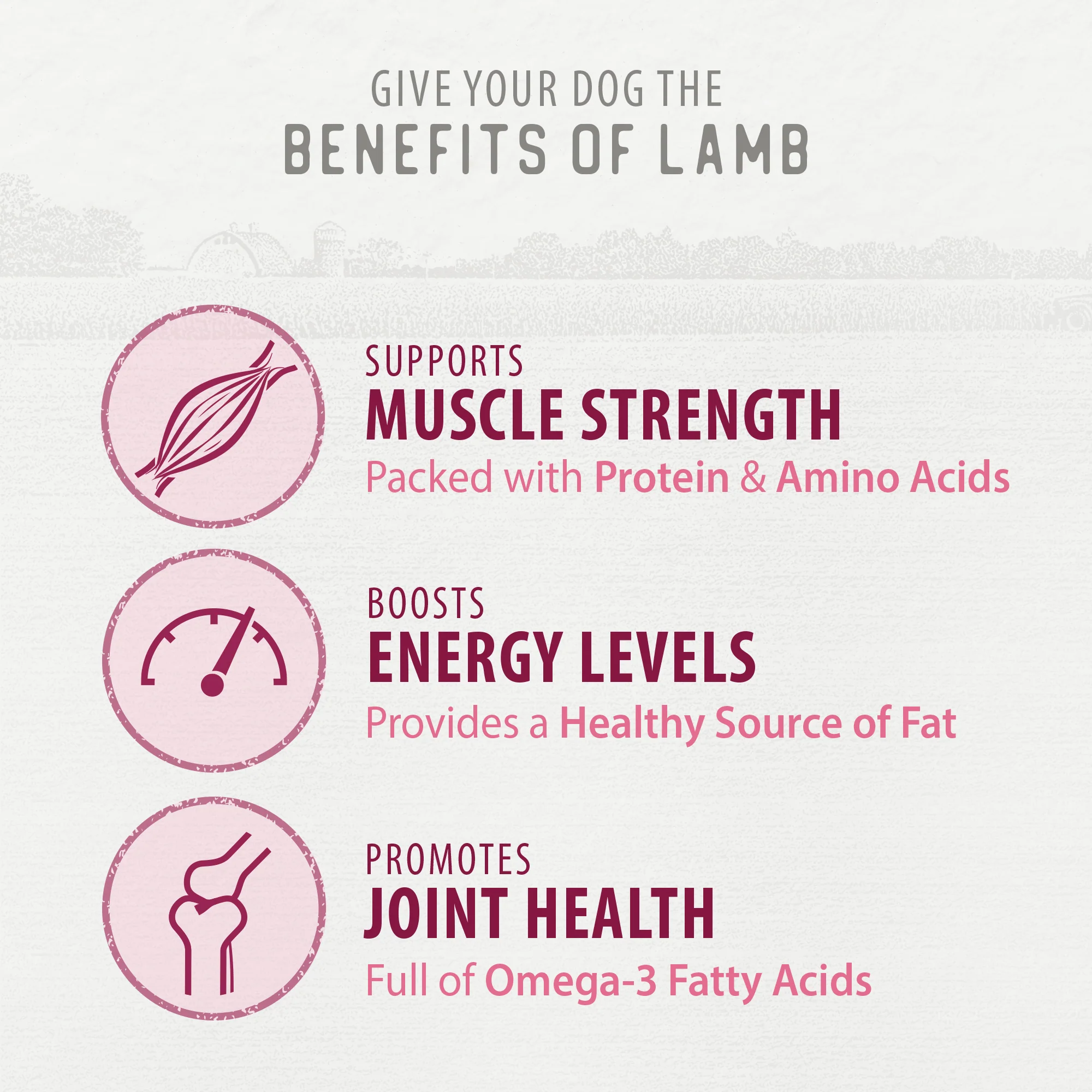 Chewy Lamb Sticks - Image 6