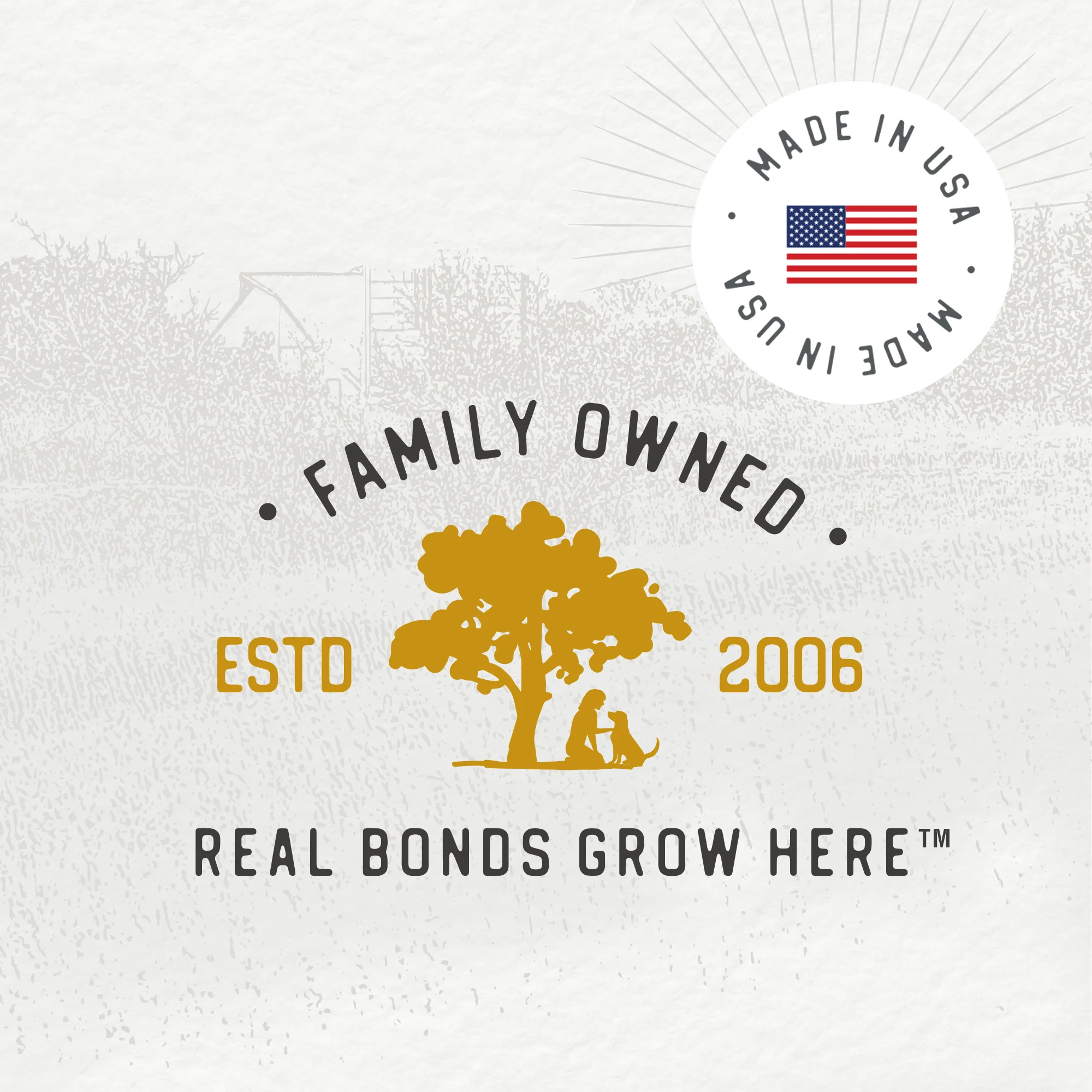 Chicken Morsels - Image 10