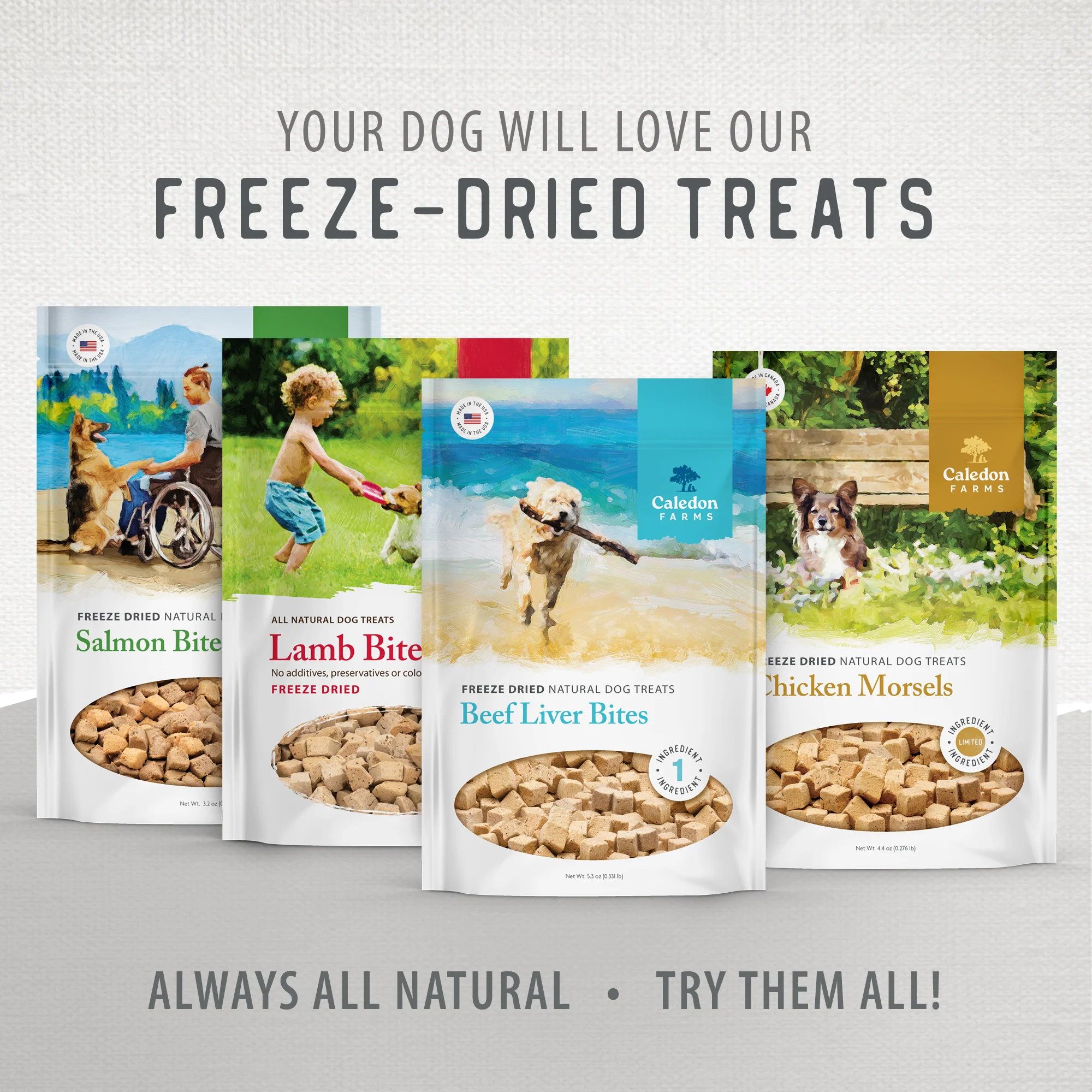 Freeze Dried Salmon Bites - Image 12