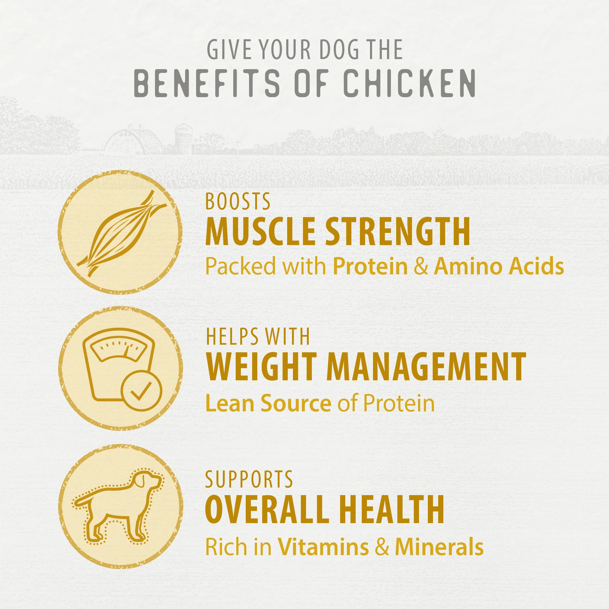 Chicken Morsels - Image 5