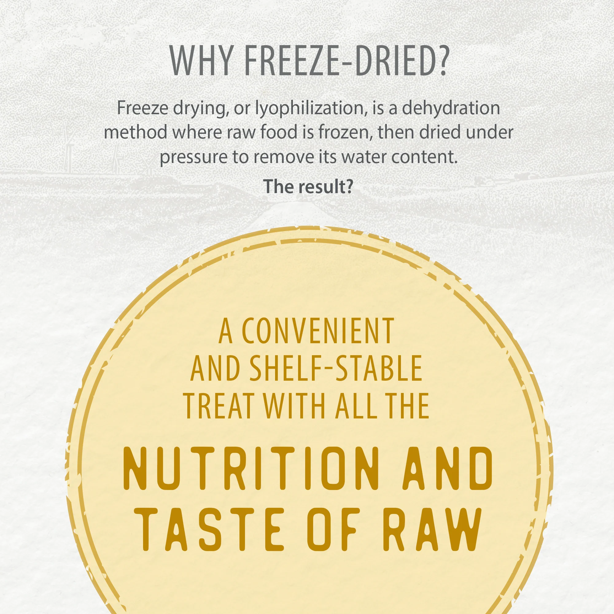 Chicken Morsels - Image 6