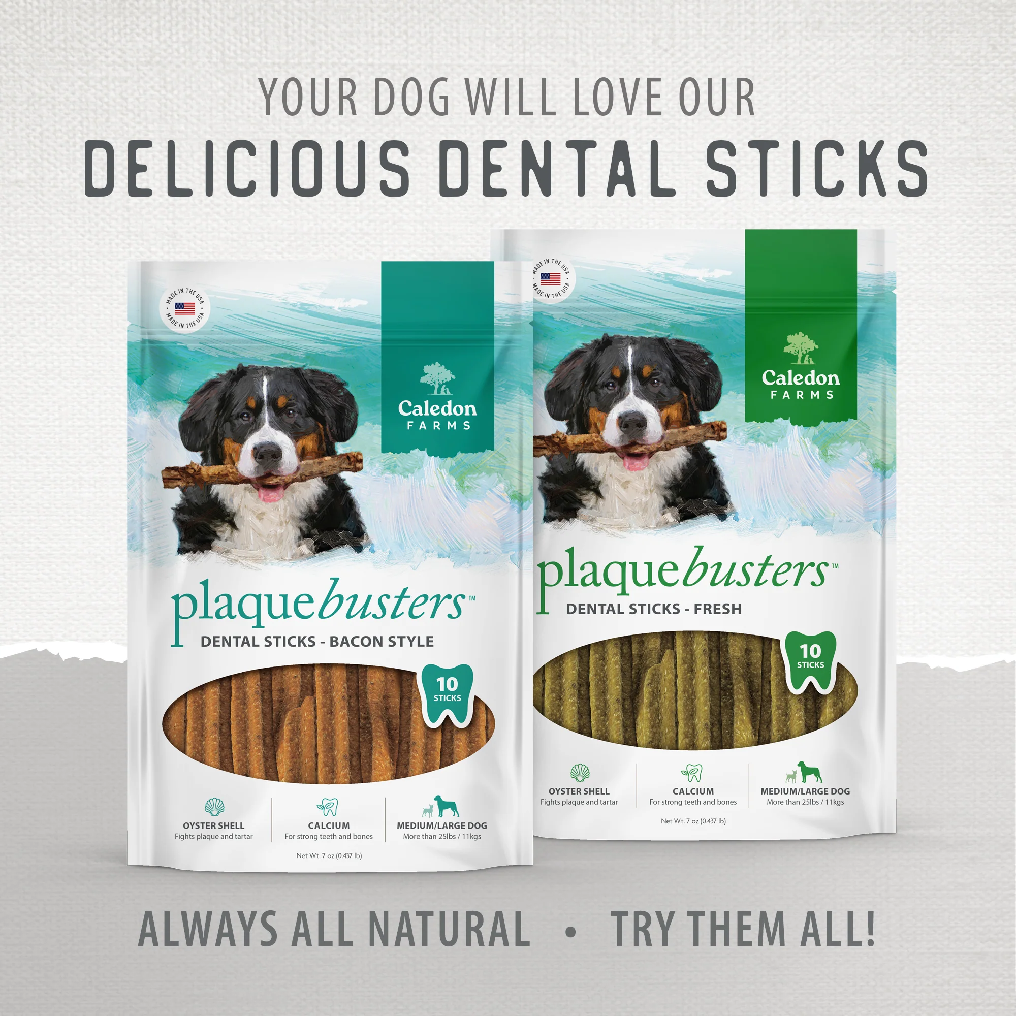 Plaque Busters Fresh Dental Sticks Value Pack - Image 12