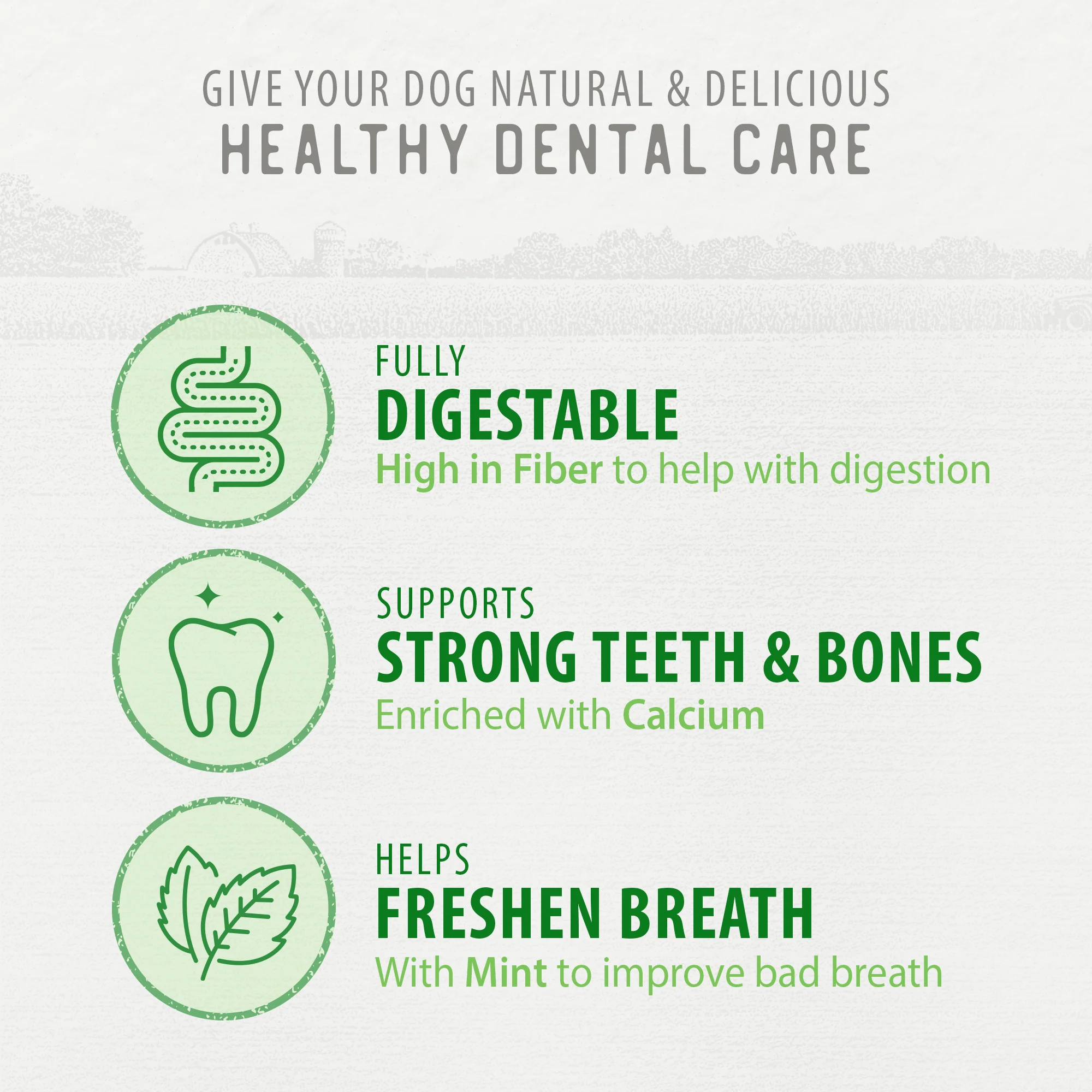 Plaque Busters Fresh Dental Sticks Value Pack - Image 6