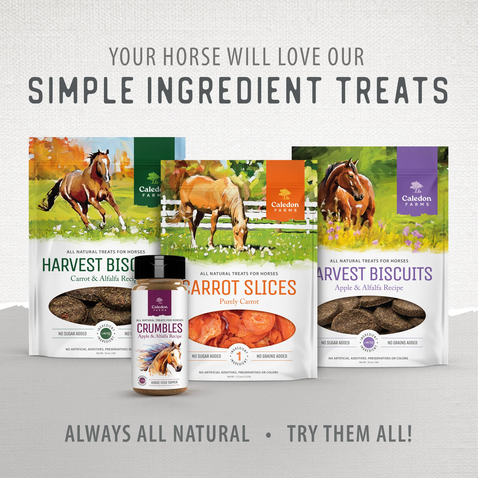 Carrot Slices Horse Treats - Image 10