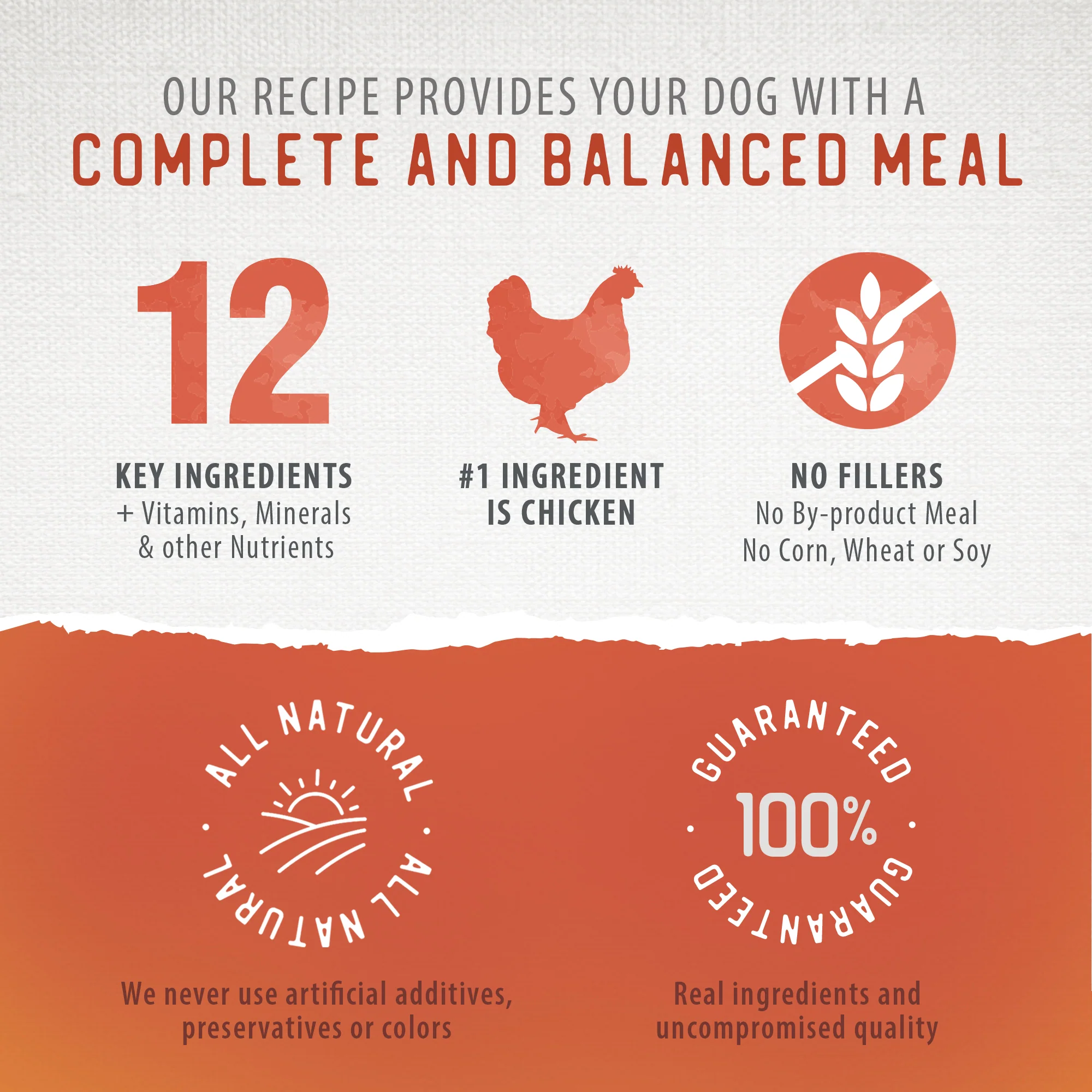 Freeze-Dried Coated Chicken Recipe 3.9lb - Image 4