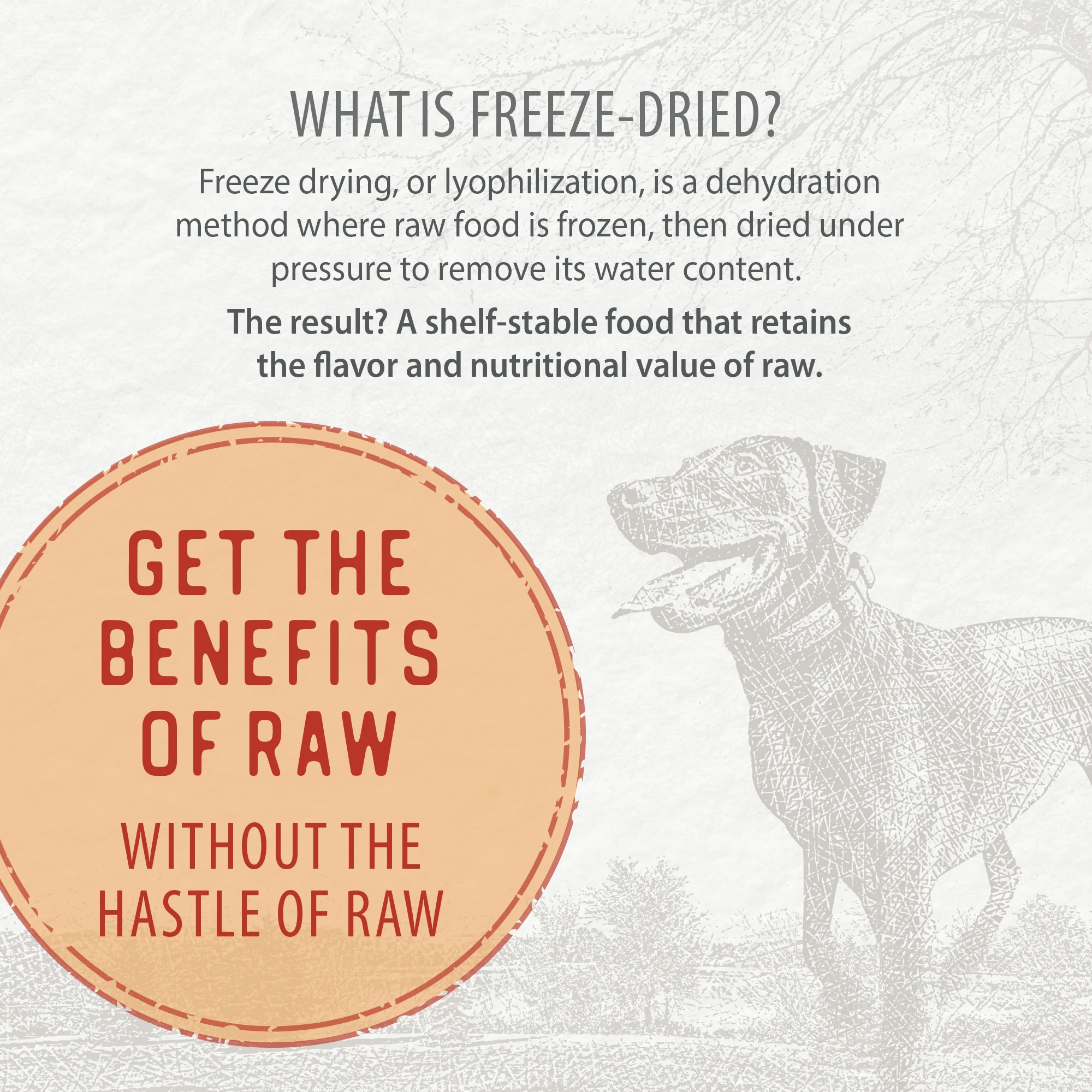 Freeze-Dried Coated Chicken Recipe 3.9lb - Image 6