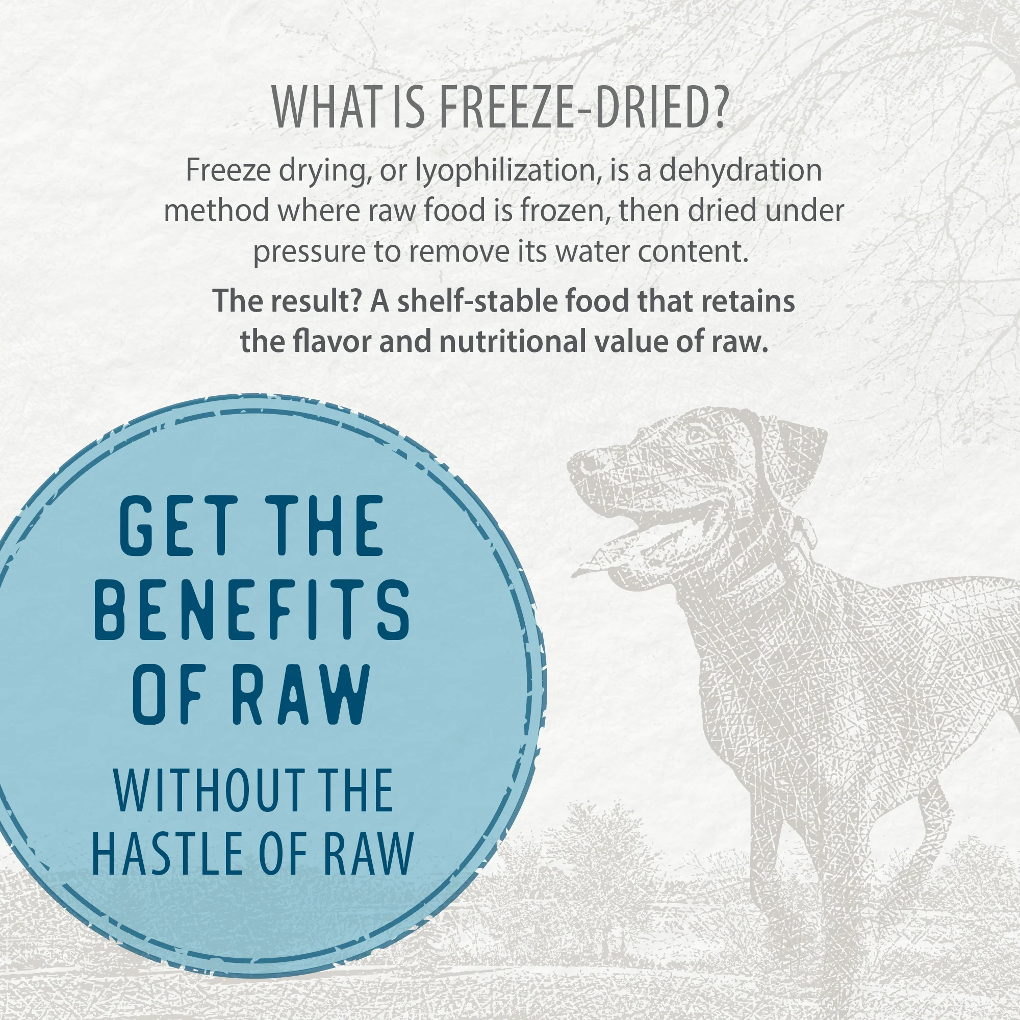 Freeze-Dried Coated Lamb Recipe 3.9lb - Image 6