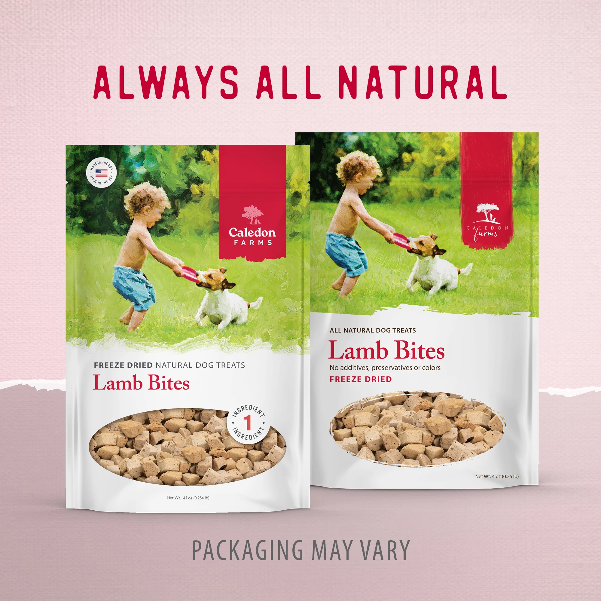 Freeze Dried Lamb Bites - Image 11