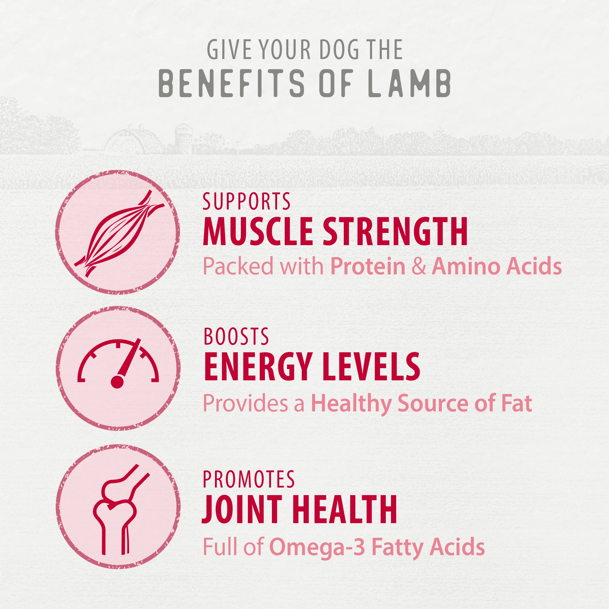 Freeze Dried Lamb Bites - Image 5