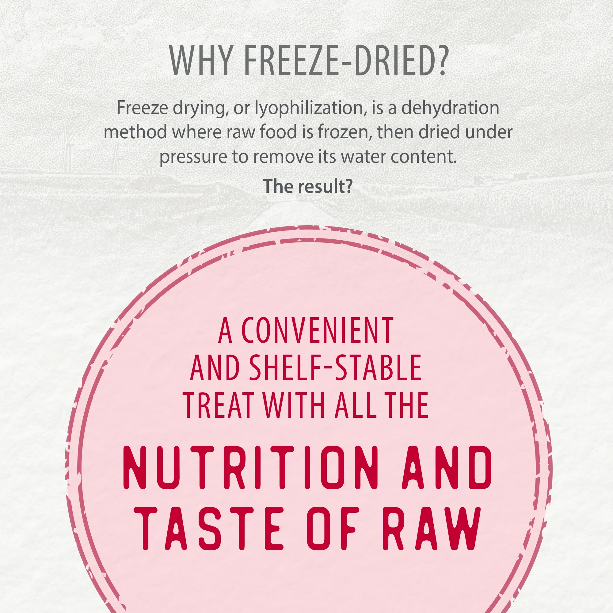 Freeze Dried Lamb Bites - Image 6