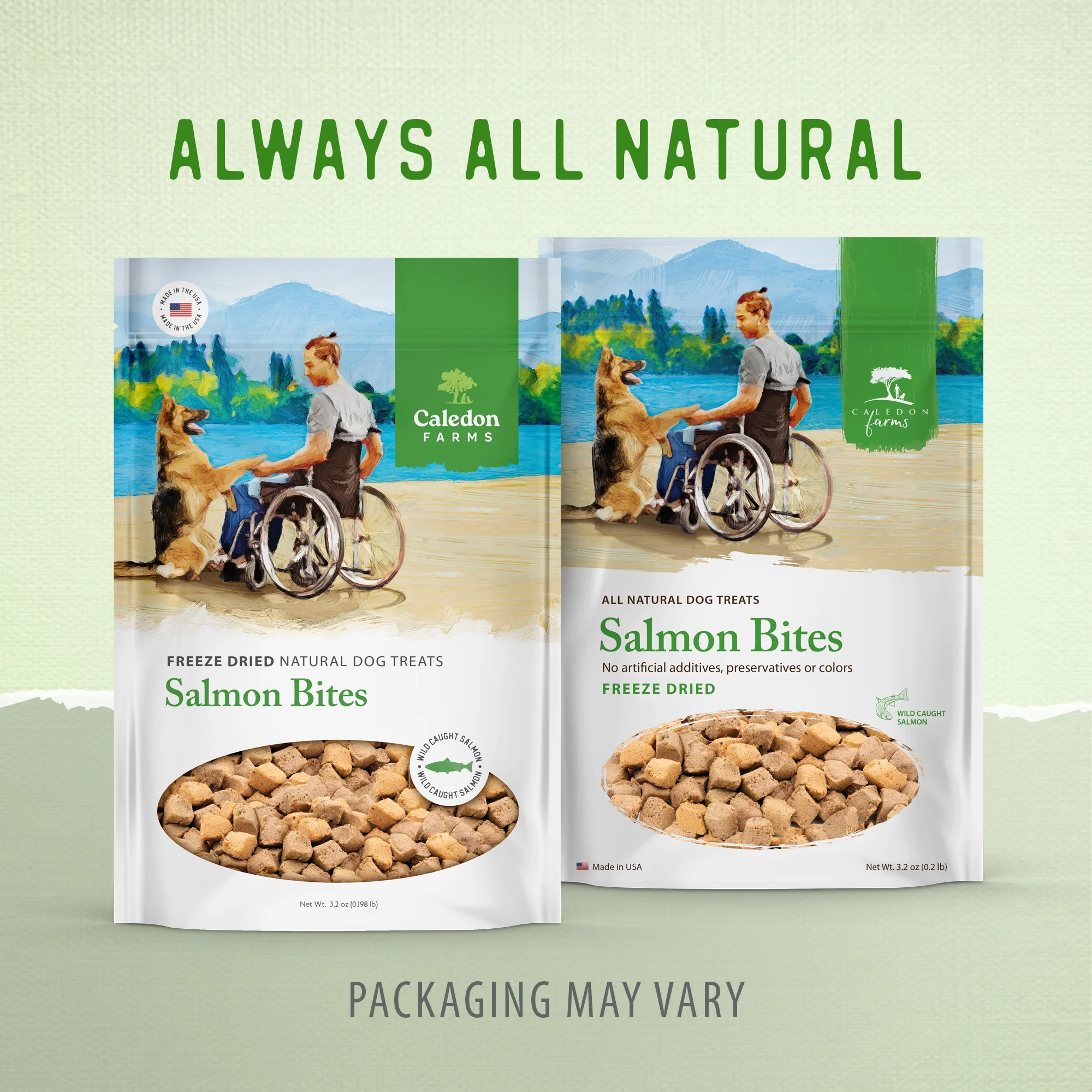 Freeze Dried Salmon Bites - Image 11