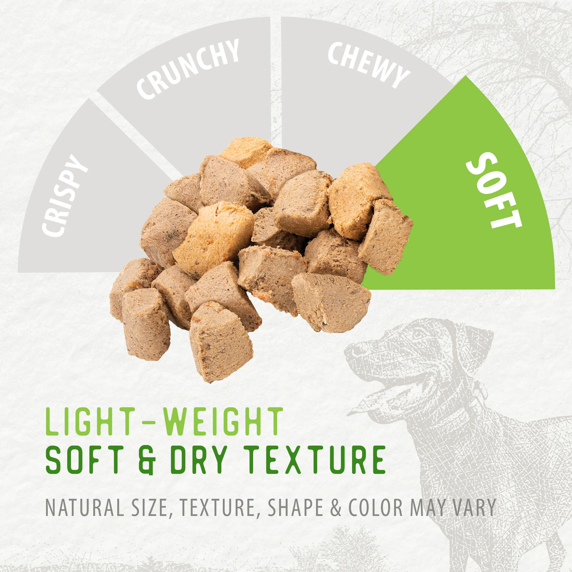 Freeze Dried Salmon Bites - Image 4