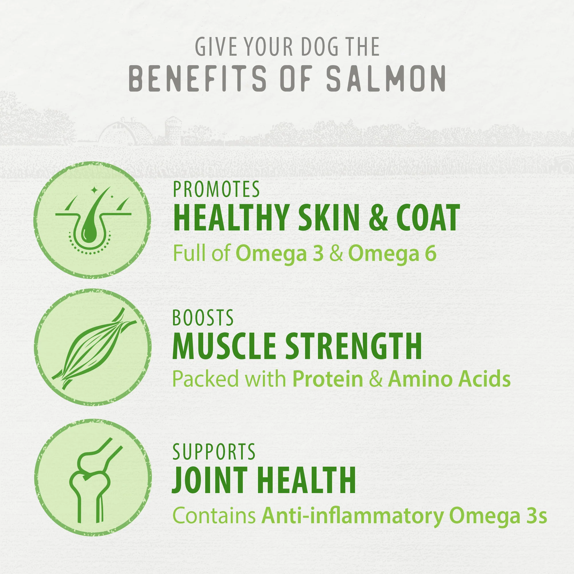 Freeze Dried Salmon Bites - Image 5