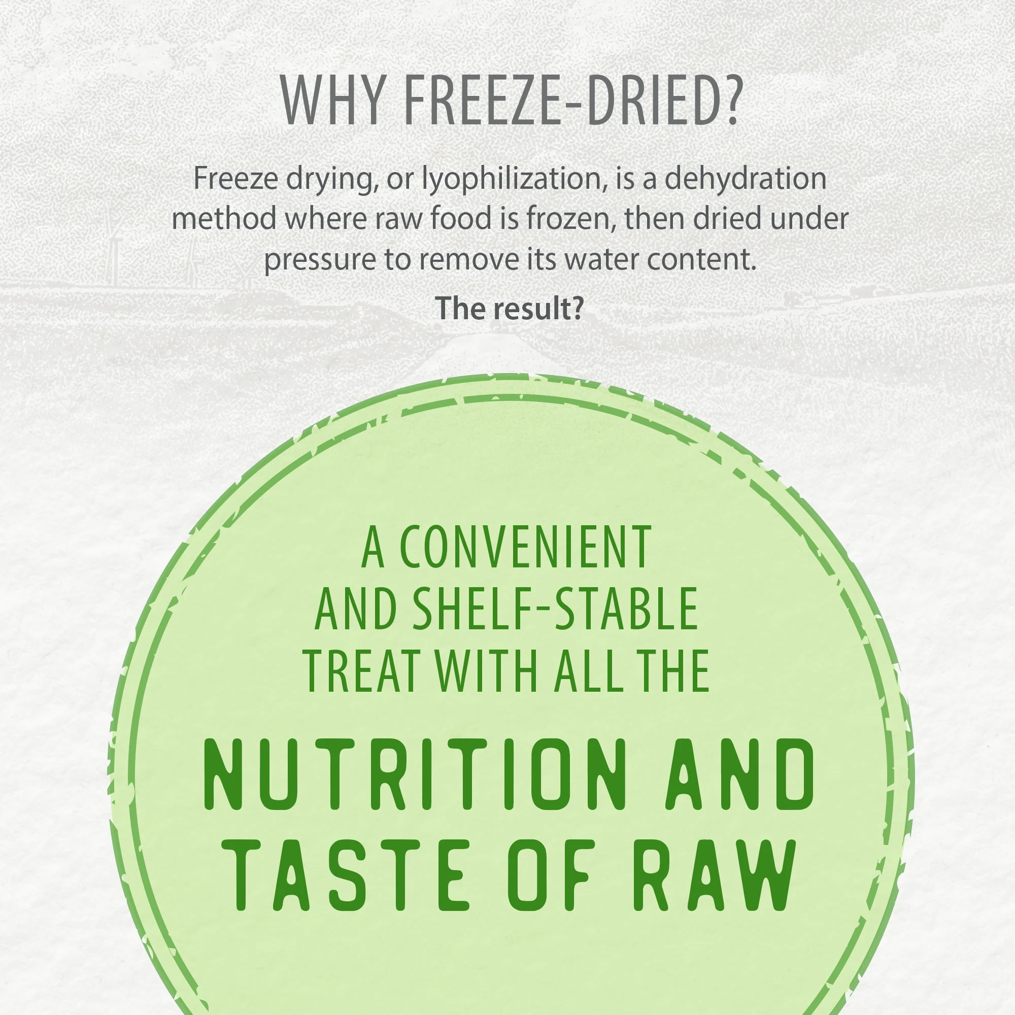 Freeze Dried Salmon Bites - Image 6