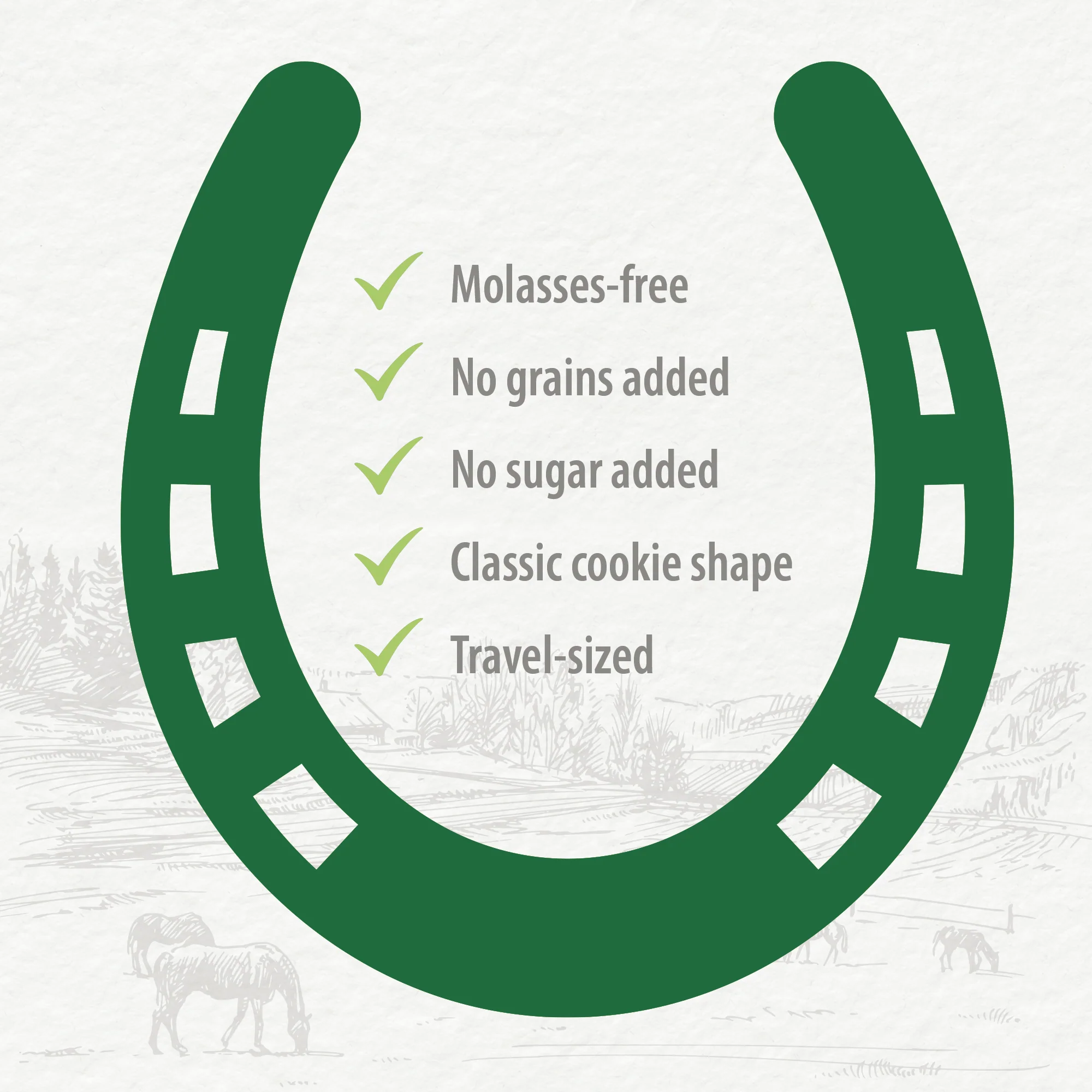 Harvest Biscuits - Carrot & Alfalfa Recipe Horse Treats - Image 3