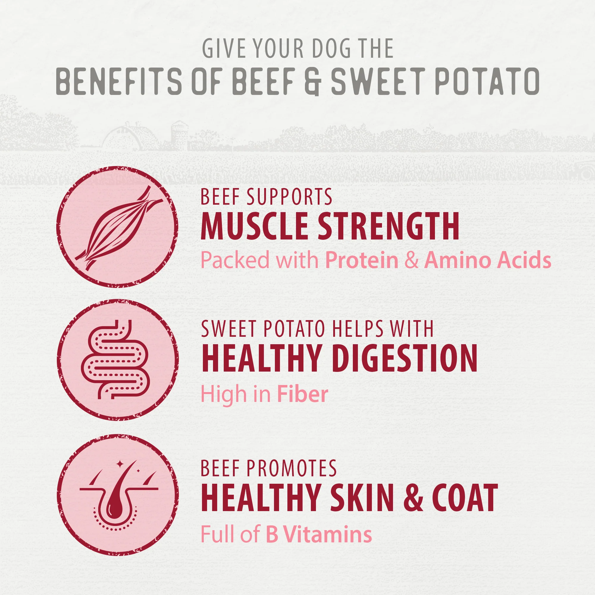 Homestyle Beef & Sweet Potato Grillers - Image 5