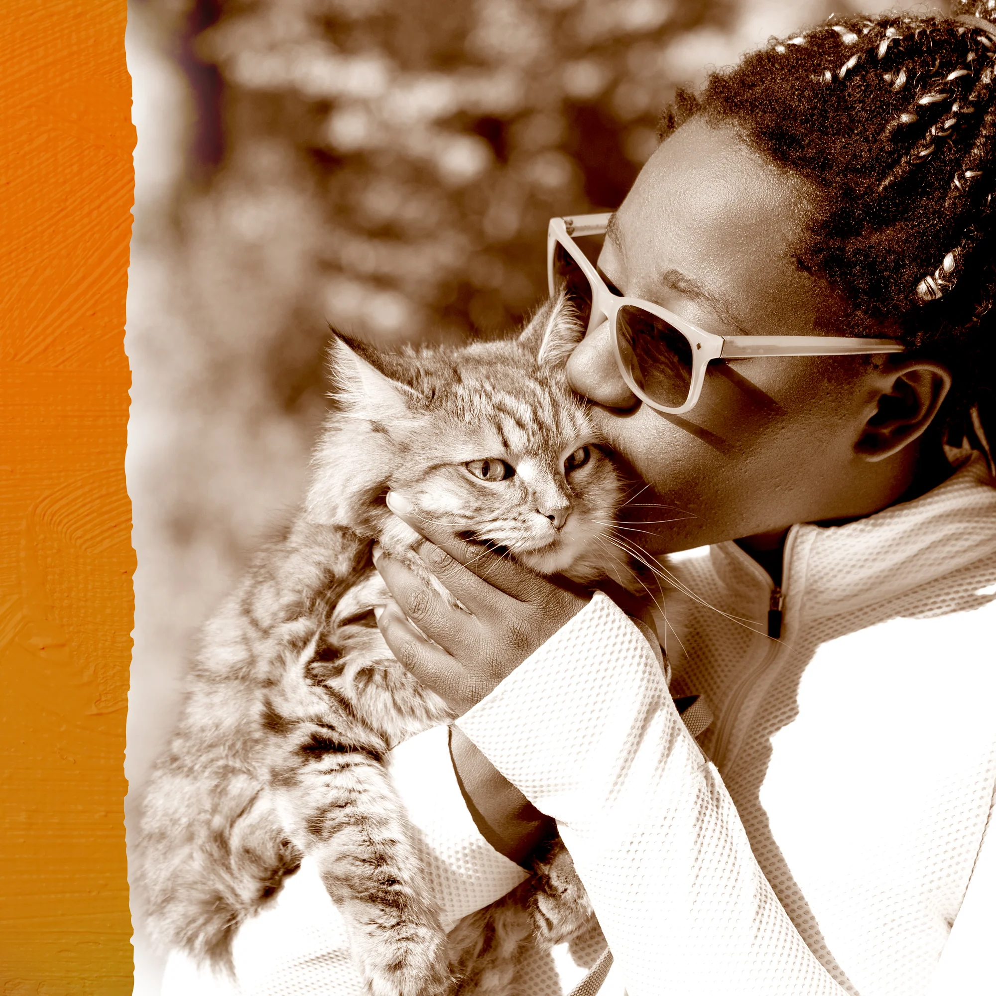 NutriNibs Freeze Dried Beef Cat Treats - Image 6