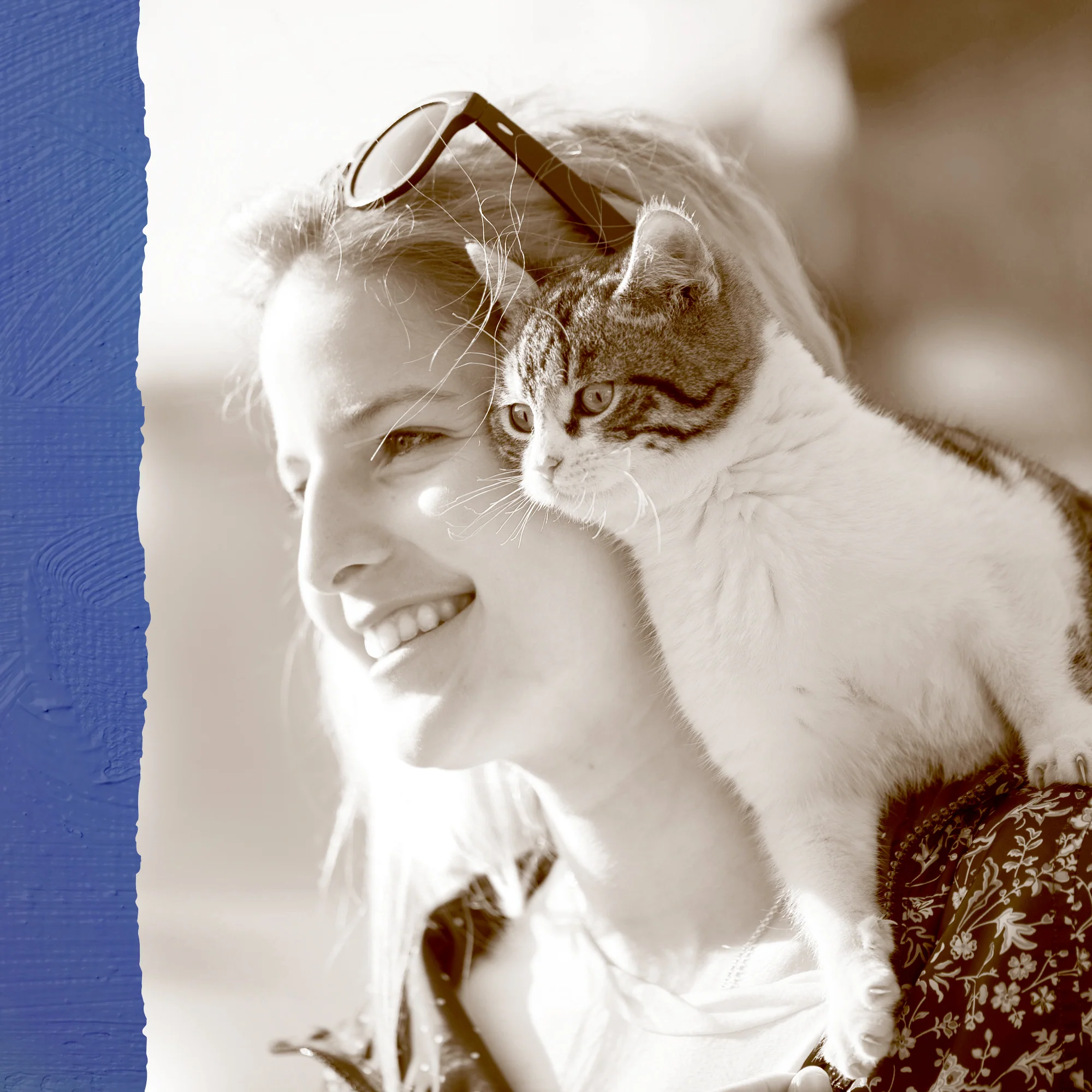 NutriNibs Freeze Dried Chicken Cat Treats - Image 6