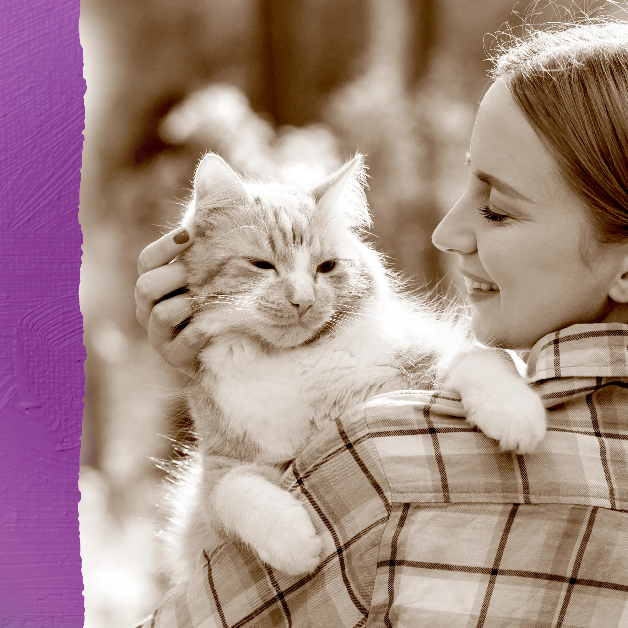 NutriNibs Freeze Dried Pork Cat Treats - Image 6