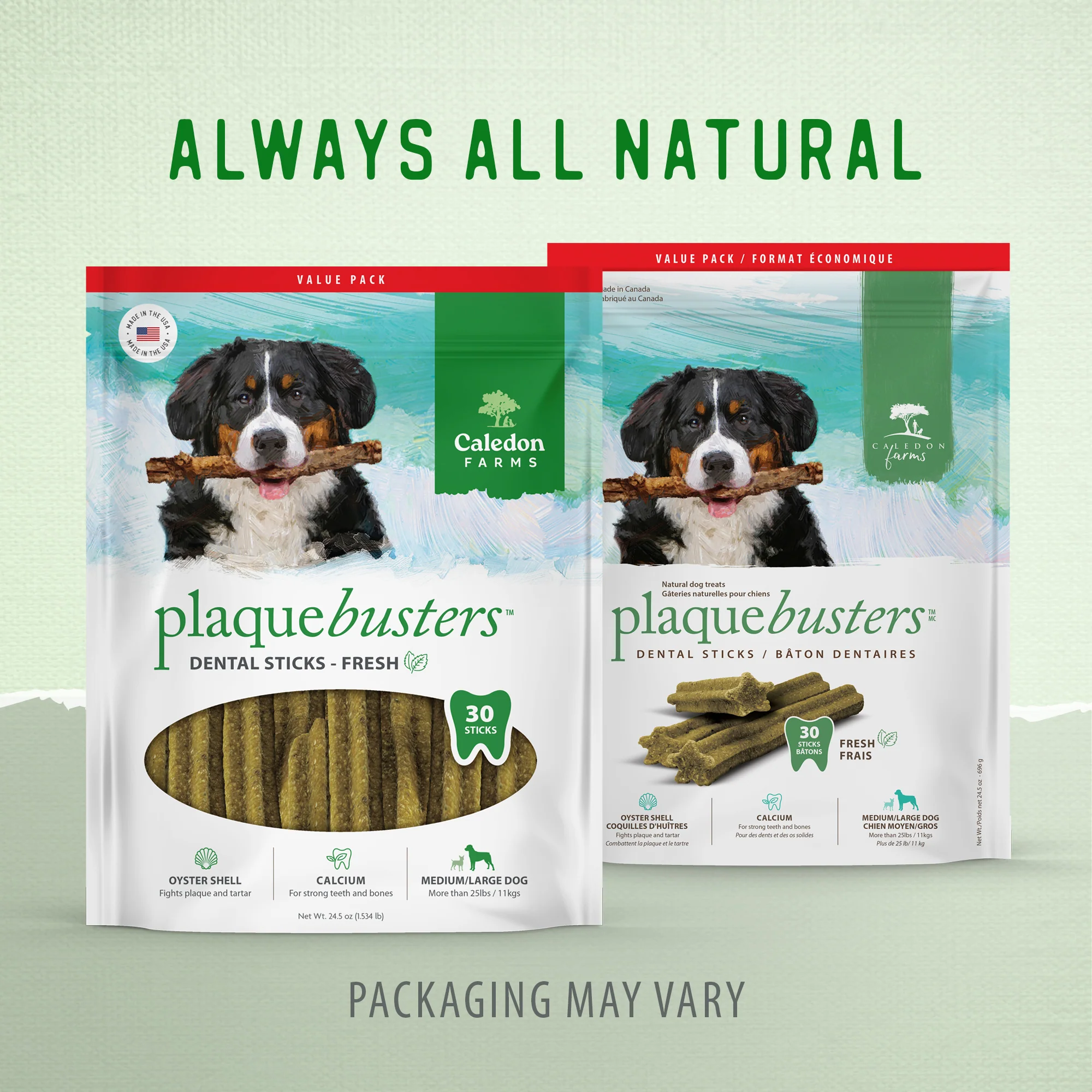 Plaque Busters Fresh Dental Sticks Value Pack - Image 9