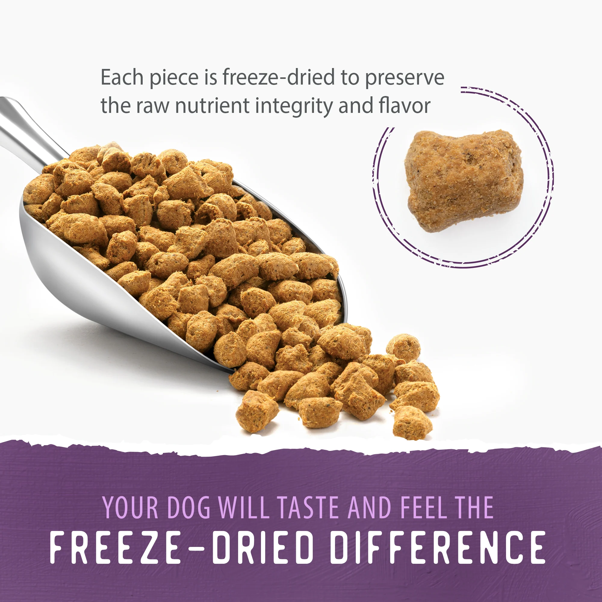 Simply Freeze-Dried Beef Recipe - Image 3
