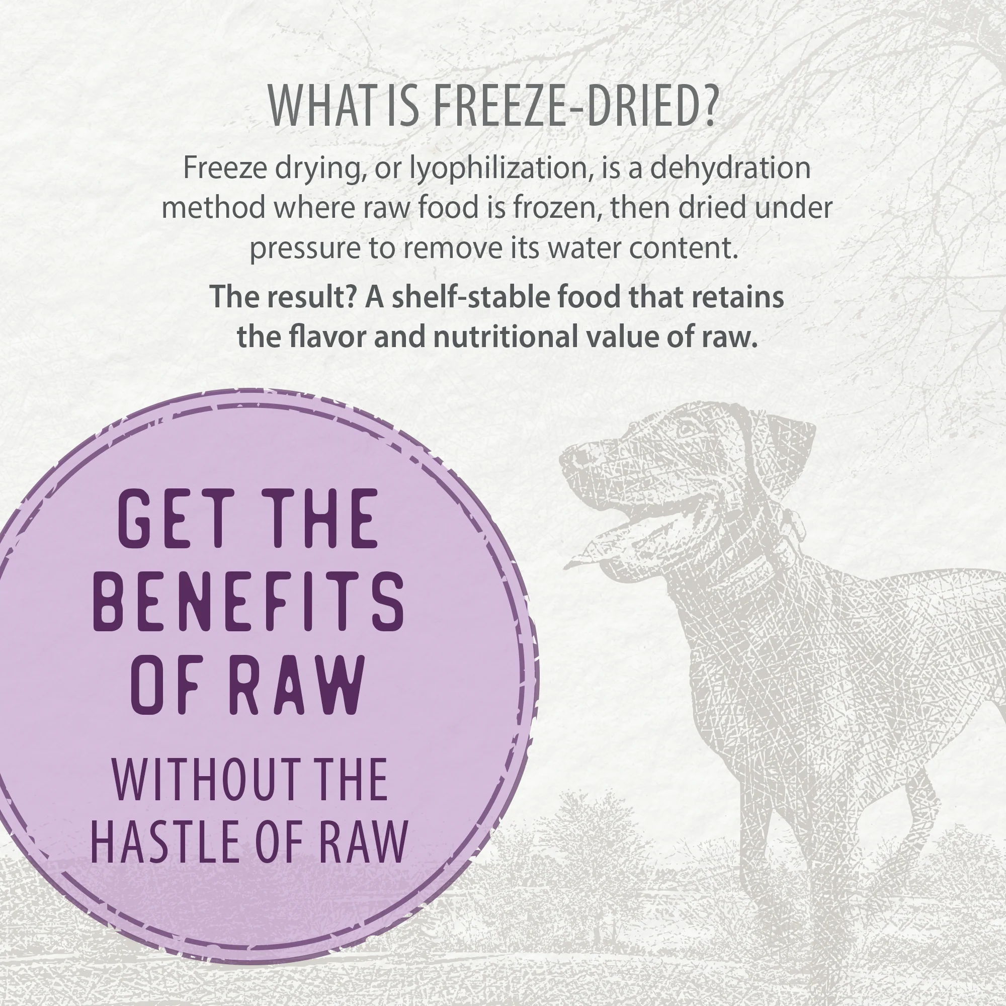 Simply Freeze-Dried Beef Recipe - Image 5