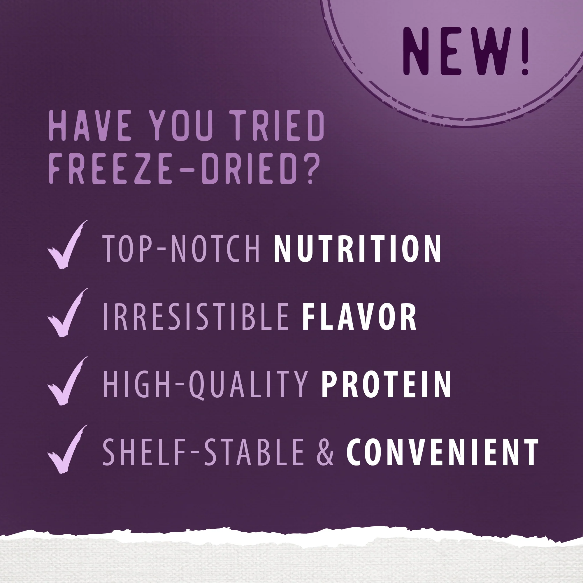 Simply Freeze-Dried Beef Recipe - Image 6