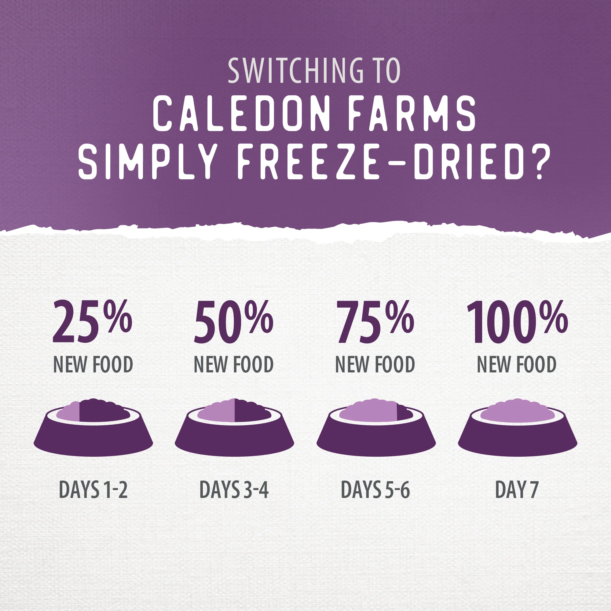 Simply Freeze-Dried Beef Recipe - Image 8