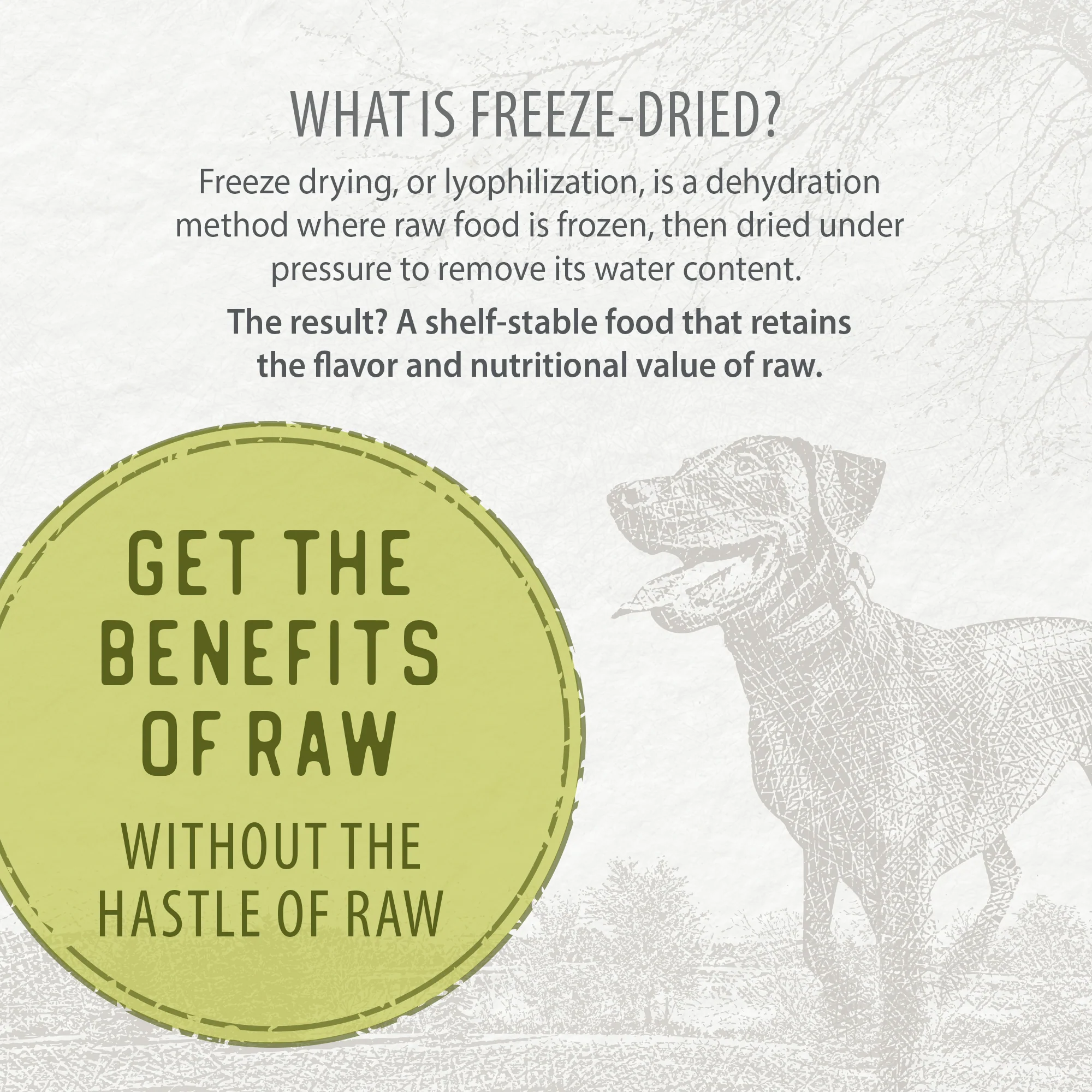 Simply Freeze-Dried Chicken Recipe - Image 6