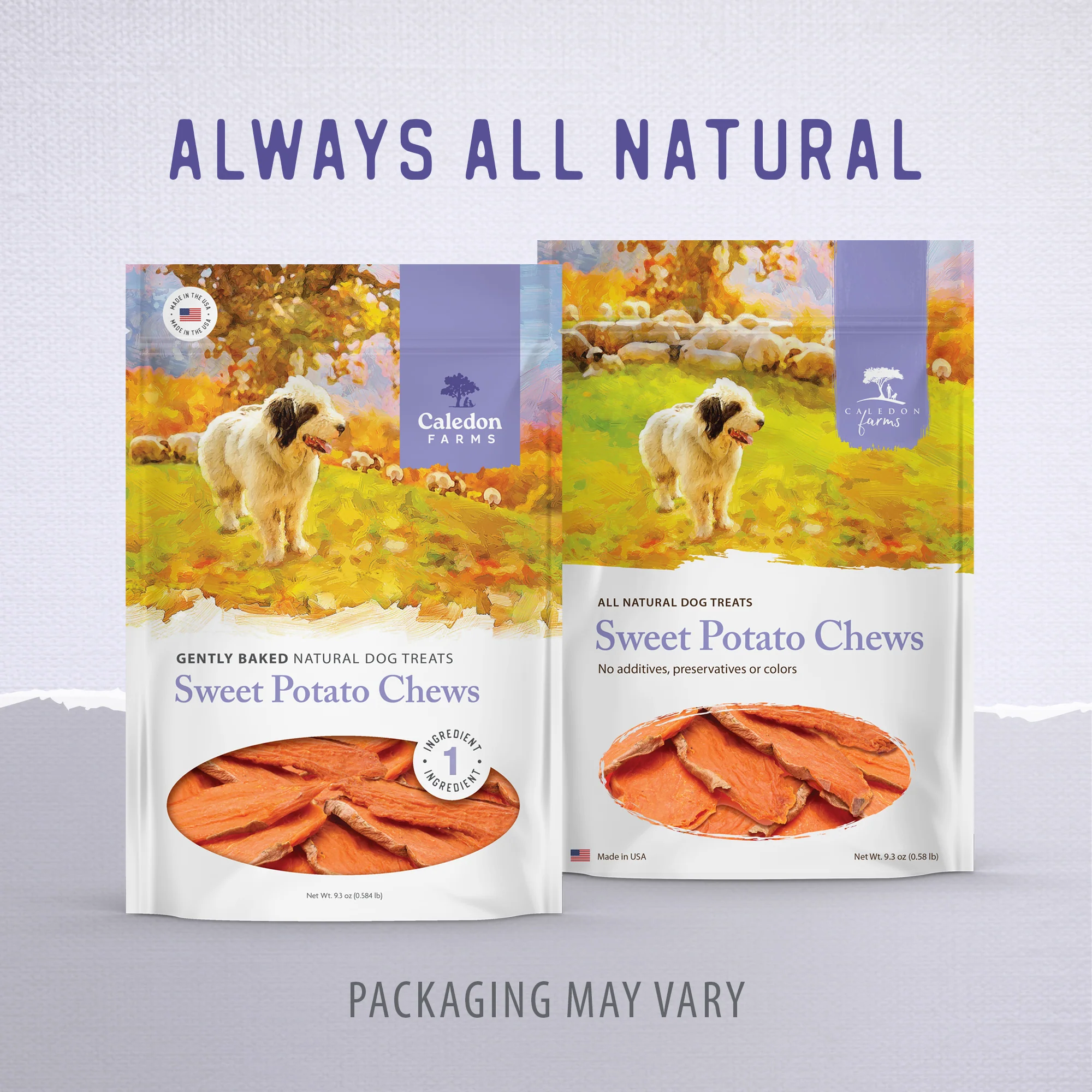 Sweet Potato Chews - Image 10