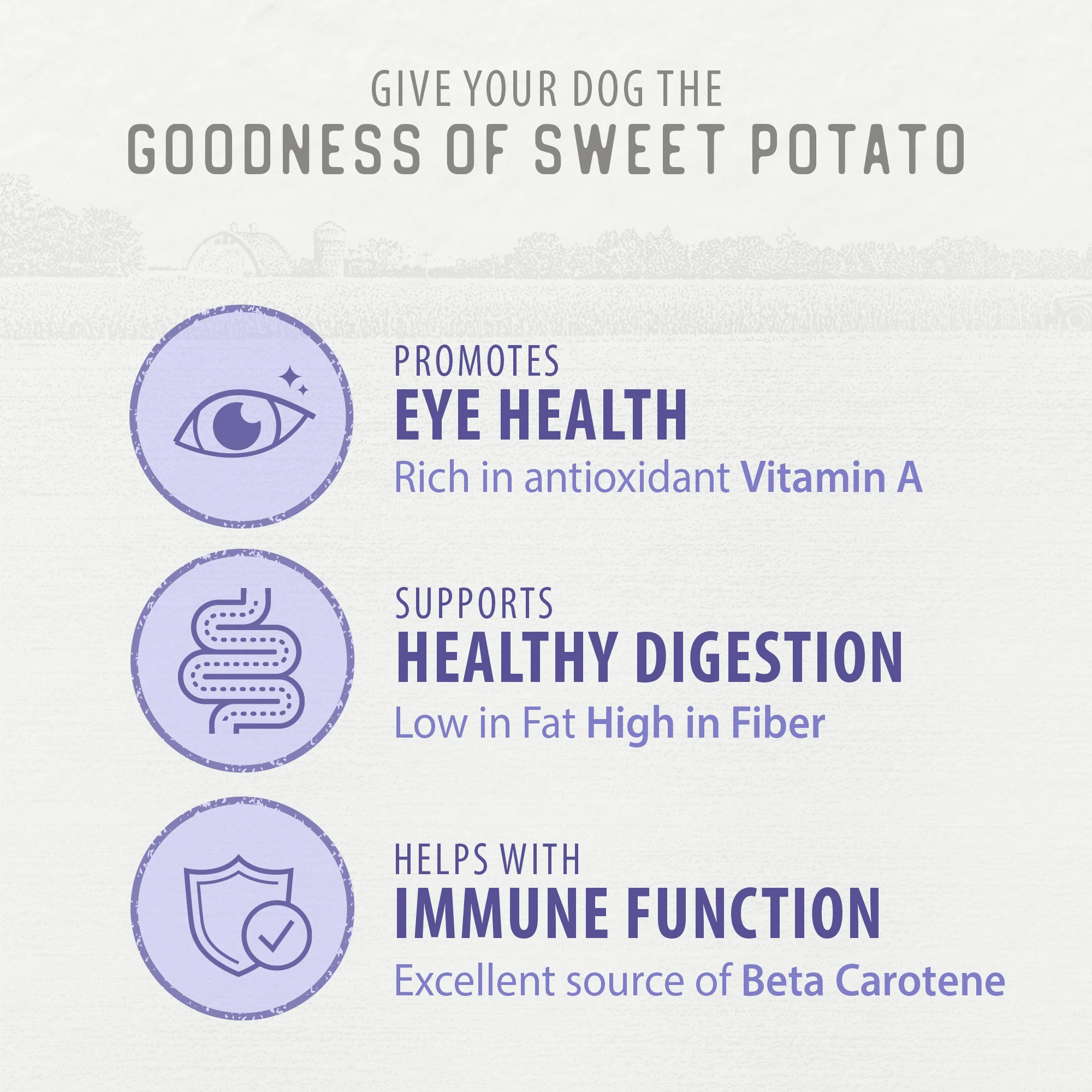 Sweet Potato Chews - Image 5